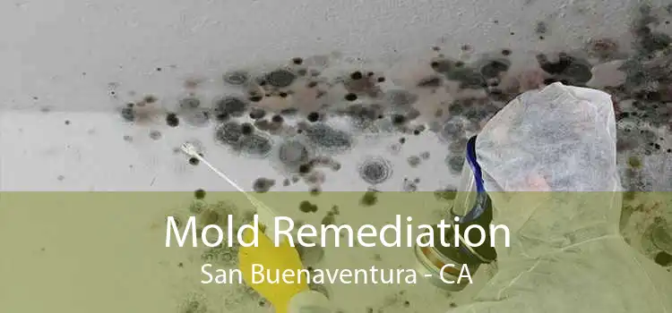 Mold Remediation San Buenaventura - CA