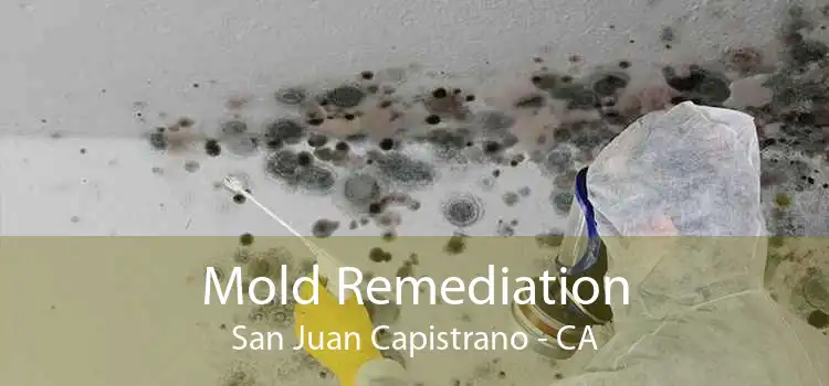 Mold Remediation San Juan Capistrano - CA