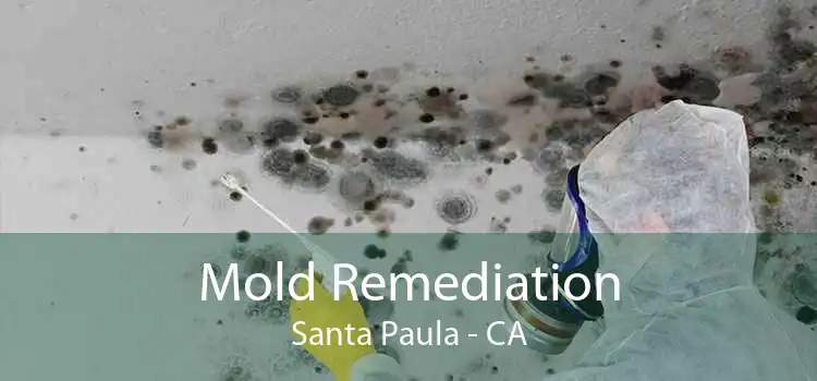 Mold Remediation Santa Paula - CA