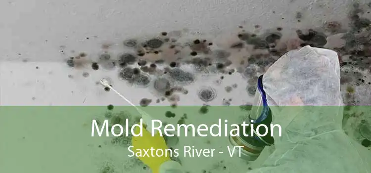 Mold Remediation Saxtons River - VT