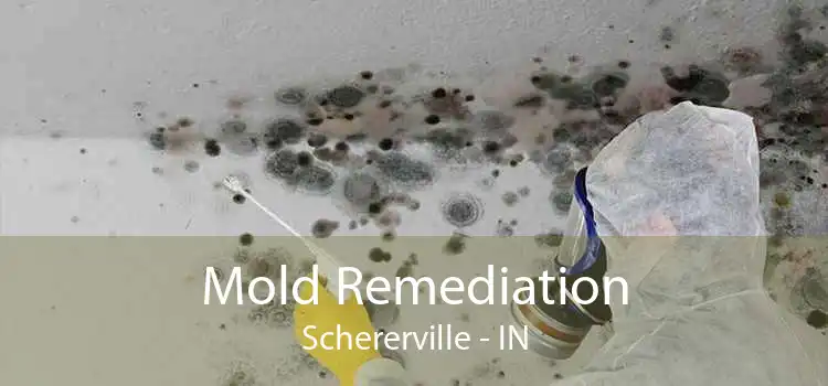 Mold Remediation Schererville - IN