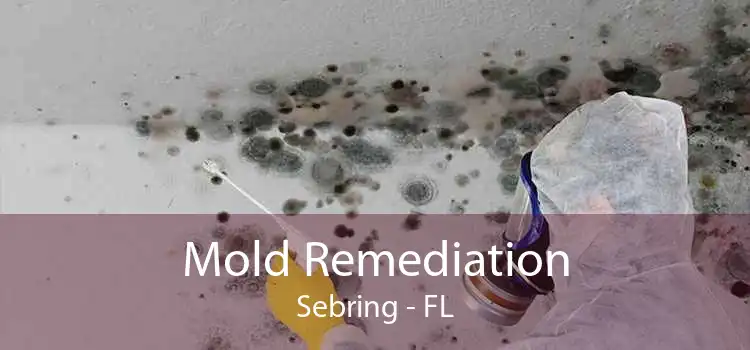 Mold Remediation Sebring - FL