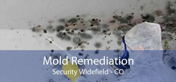 Mold Remediation Security Widefield - CO