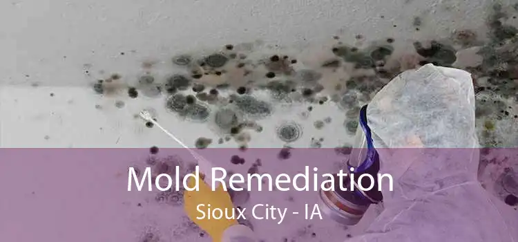 Mold Remediation Sioux City - IA