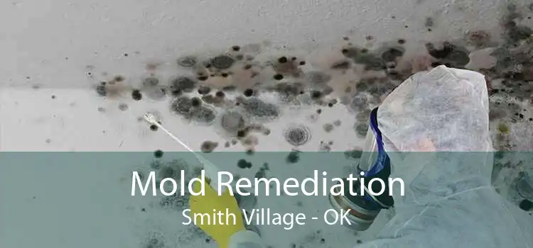 Mold Remediation Smith Village - OK