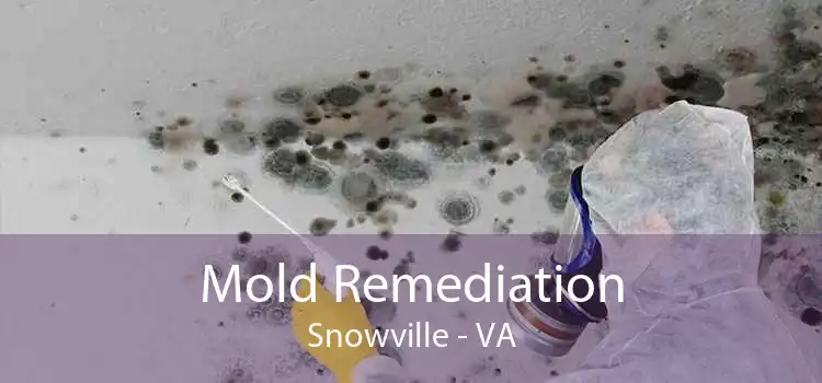 Mold Remediation Snowville - VA