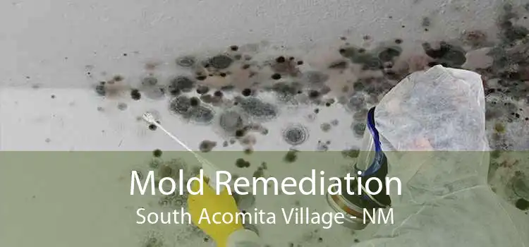 Mold Remediation South Acomita Village - NM