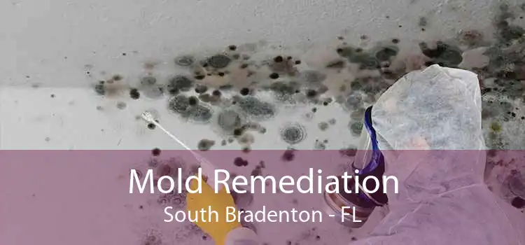 Mold Remediation South Bradenton - FL