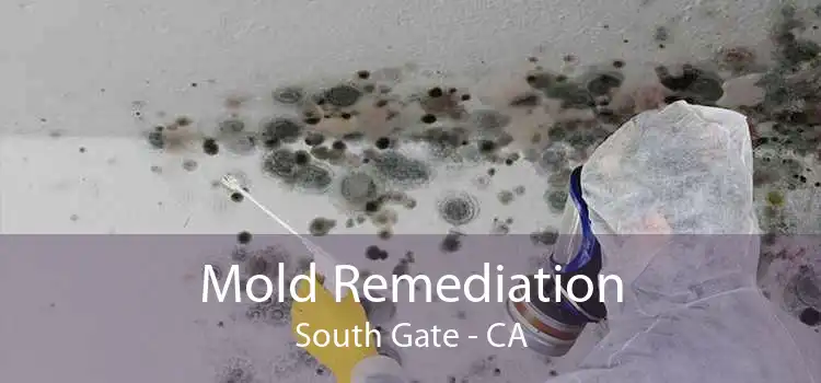 Mold Remediation South Gate - CA