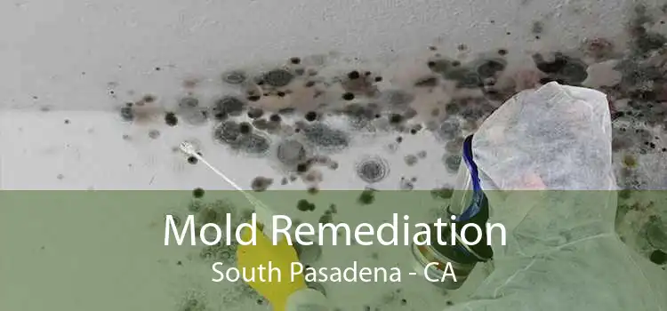Mold Remediation South Pasadena - CA