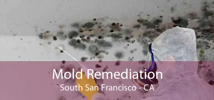 Mold Remediation South San Francisco - CA