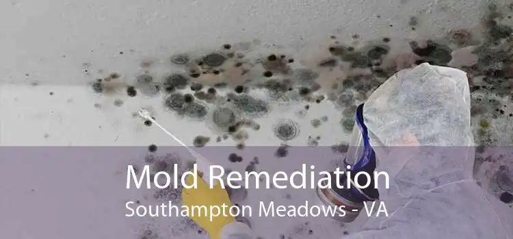 Mold Remediation Southampton Meadows - VA