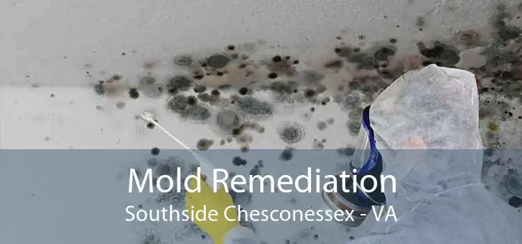 Mold Remediation Southside Chesconessex - VA