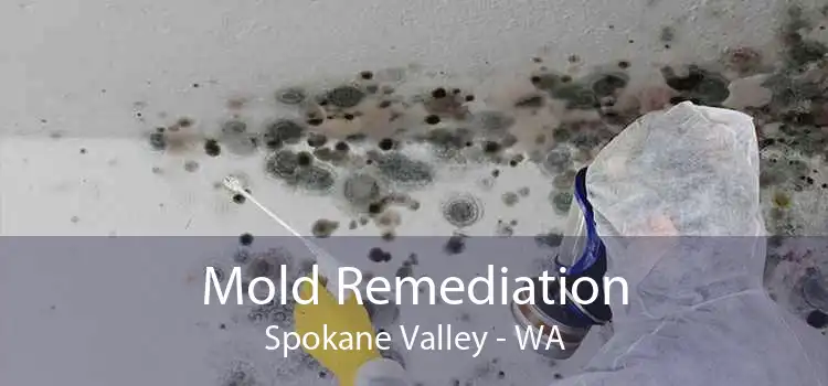 Mold Remediation Spokane Valley - WA