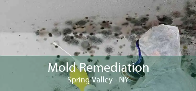 Mold Remediation Spring Valley - NY