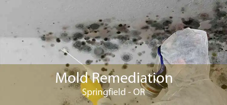 Mold Remediation Springfield - OR