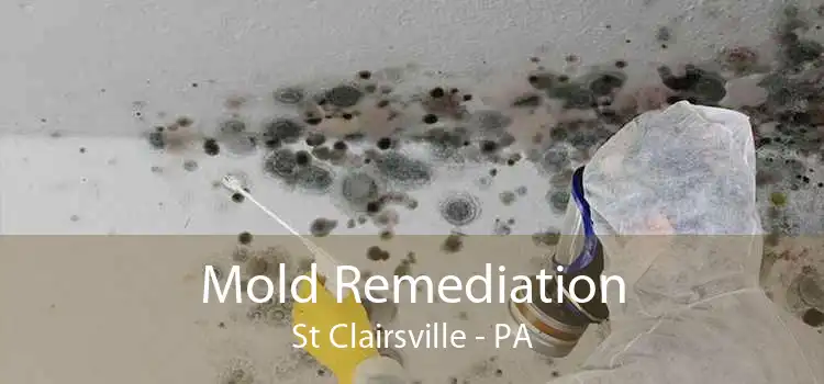 Mold Remediation St Clairsville - PA