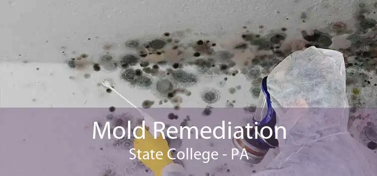 Mold Remediation State College - PA
