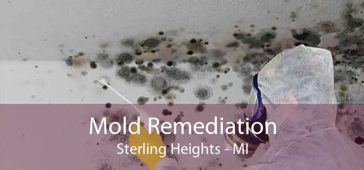 Mold Remediation Sterling Heights - MI