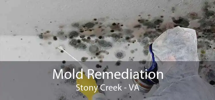 Mold Remediation Stony Creek - VA