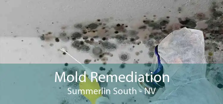 Mold Remediation Summerlin South - NV