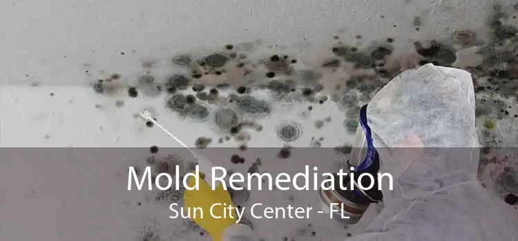 Mold Remediation Sun City Center - FL