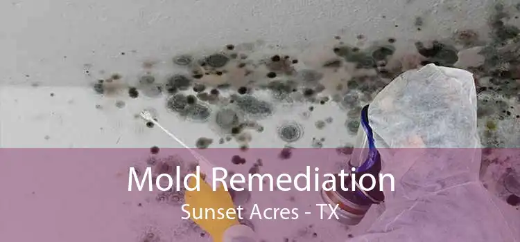 Mold Remediation Sunset Acres - TX