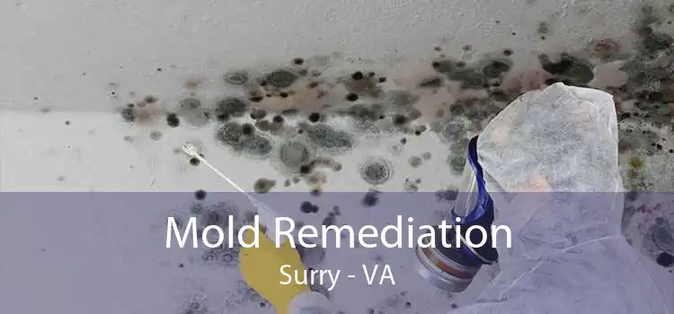 Mold Remediation Surry - VA