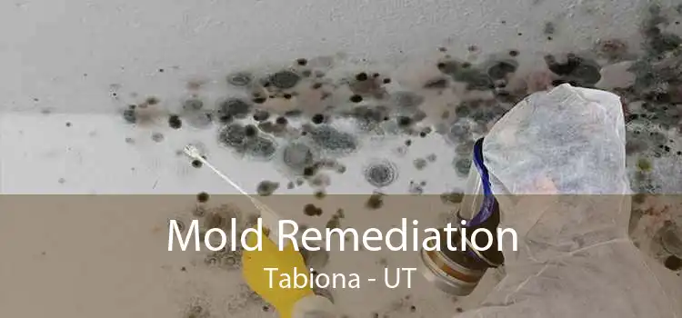 Mold Remediation Tabiona - UT