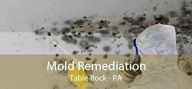 Mold Remediation Table Rock - PA
