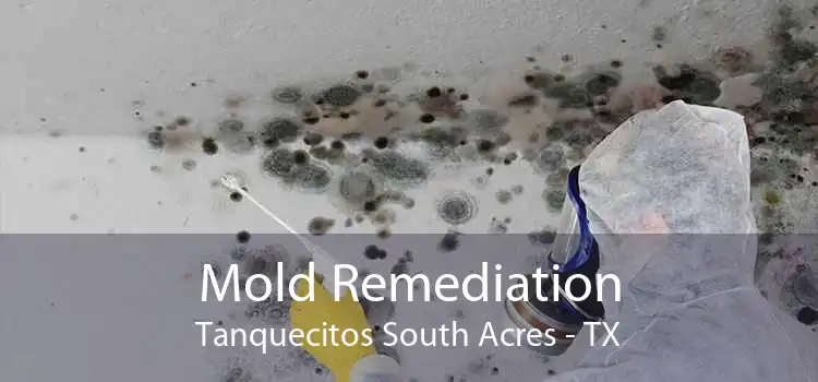 Mold Remediation Tanquecitos South Acres - TX