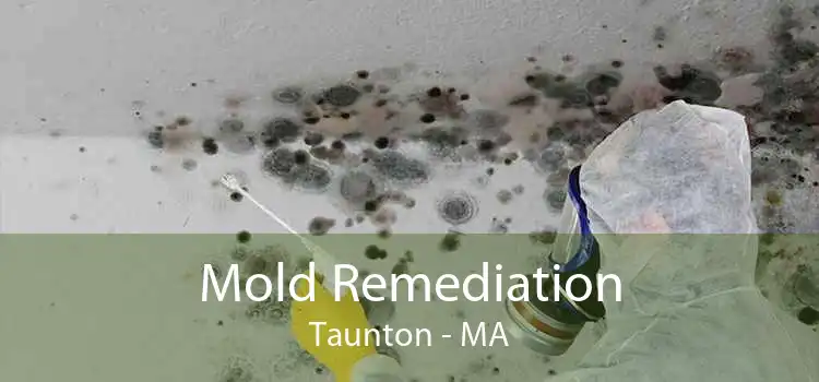 Mold Remediation Taunton - MA
