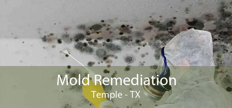 Mold Remediation Temple - TX