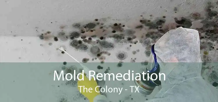 Mold Remediation The Colony - TX