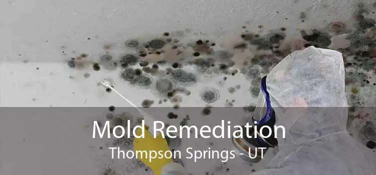 Mold Remediation Thompson Springs - UT