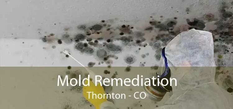Mold Remediation Thornton - CO