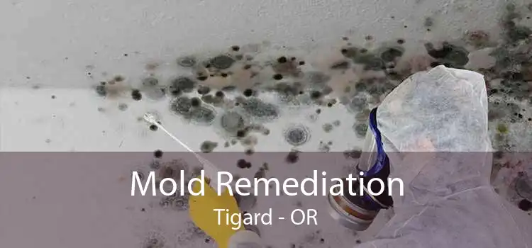 Mold Remediation Tigard - OR