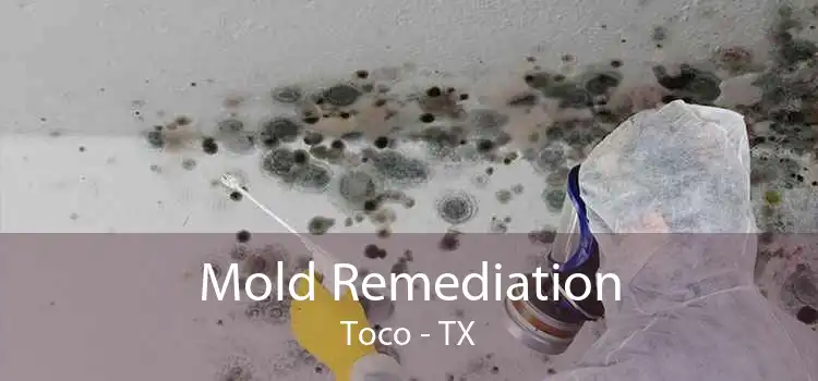 Mold Remediation Toco - TX