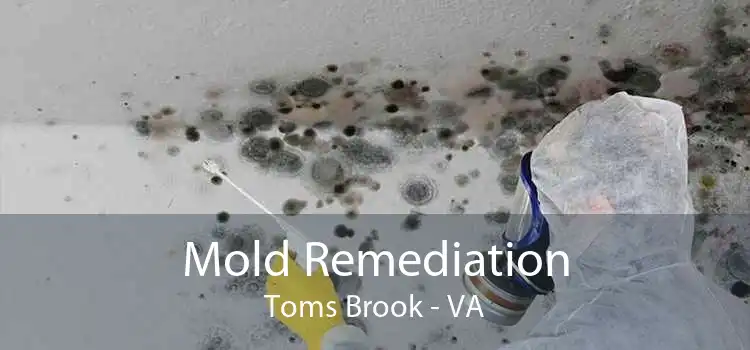 Mold Remediation Toms Brook - VA