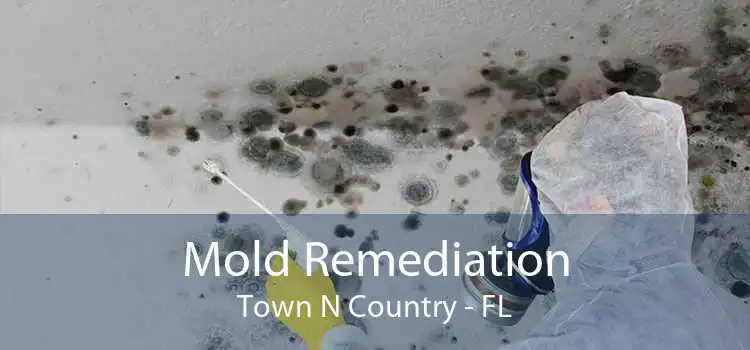 Mold Remediation Town N Country - FL