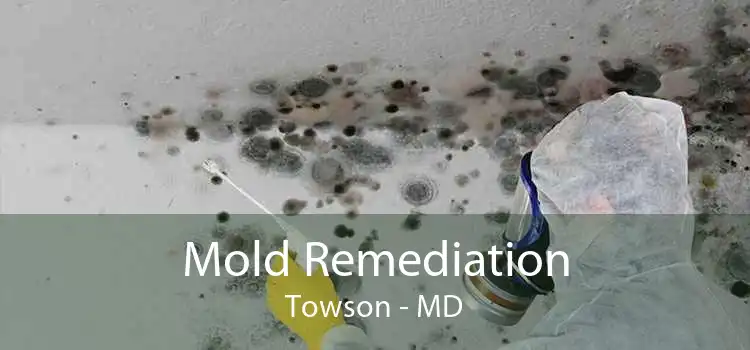 Mold Remediation Towson - MD