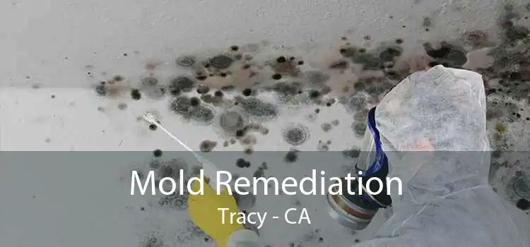 Mold Remediation Tracy - CA