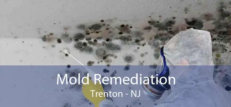 Mold Remediation Trenton - NJ