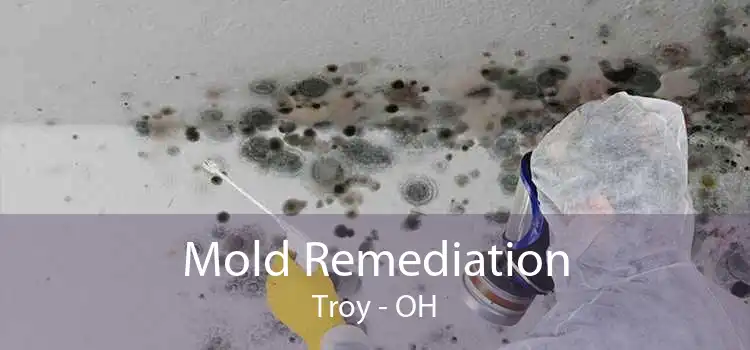 Mold Remediation Troy - OH