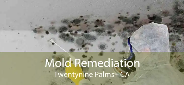 Mold Remediation Twentynine Palms - CA