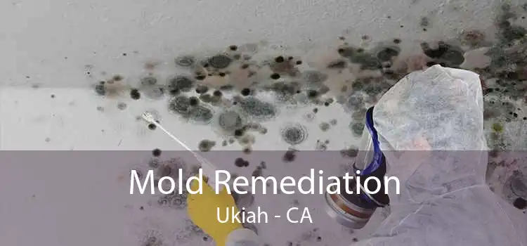 Mold Remediation Ukiah - CA