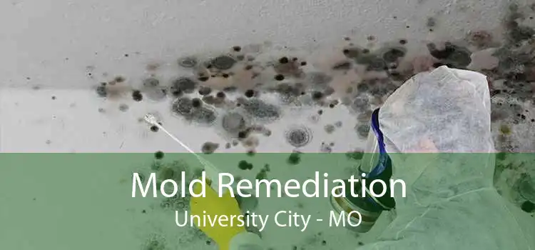 Mold Remediation University City - MO