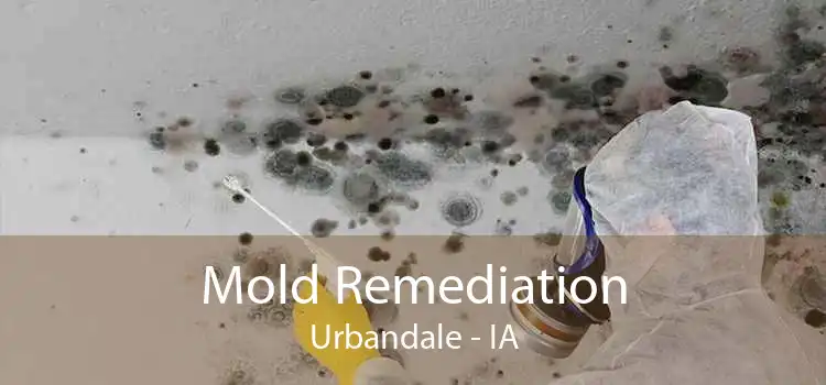 Mold Remediation Urbandale - IA