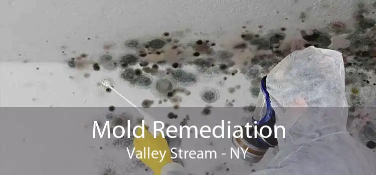 Mold Remediation Valley Stream - NY