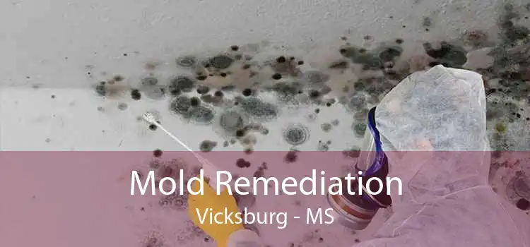 Mold Remediation Vicksburg - MS